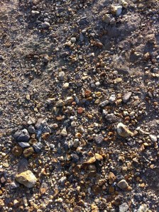 This isn't Mars, but could play it on TV.